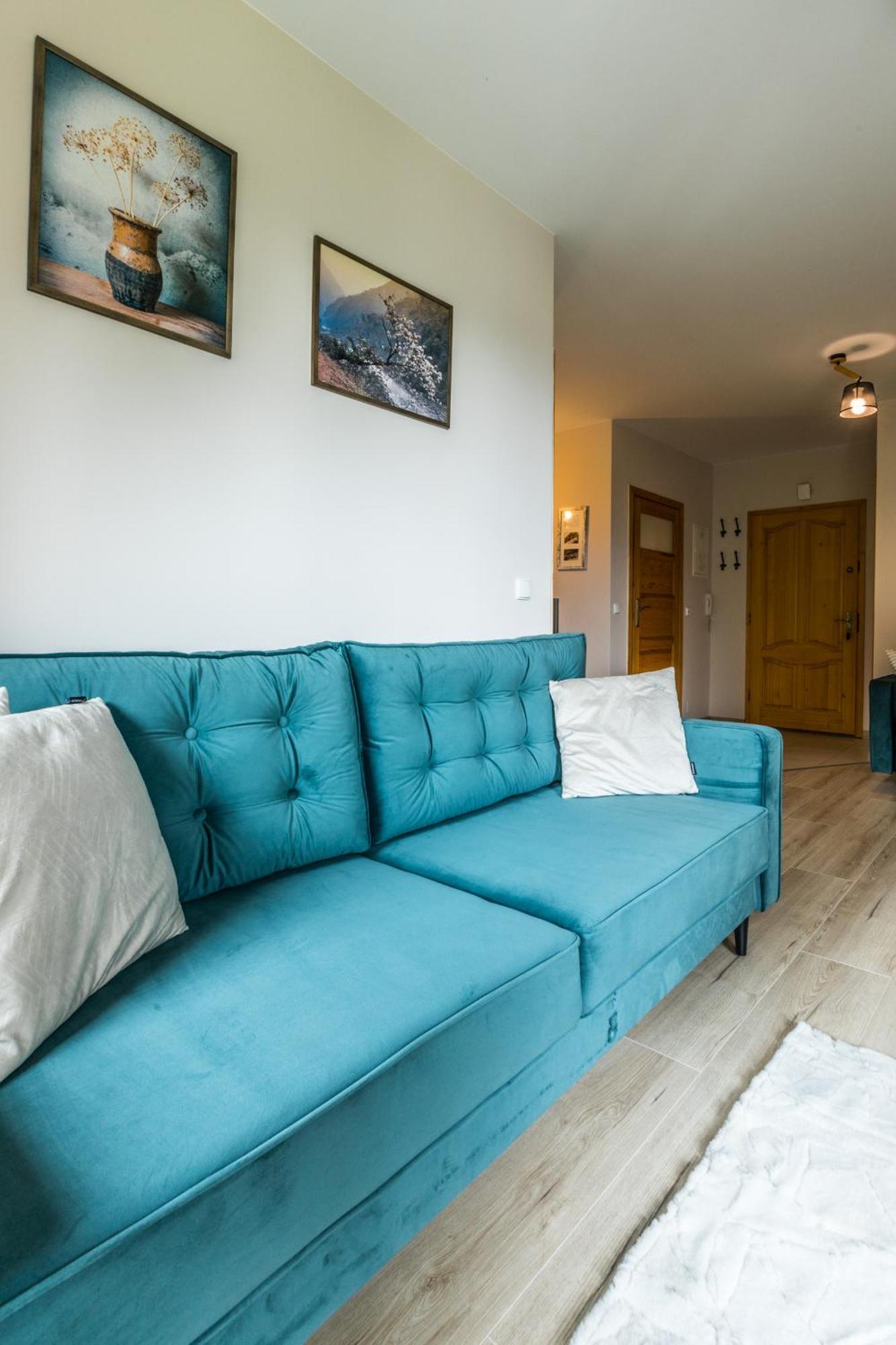 Apartament Wit Polana Sywarne Kościelisko Dış mekan fotoğraf