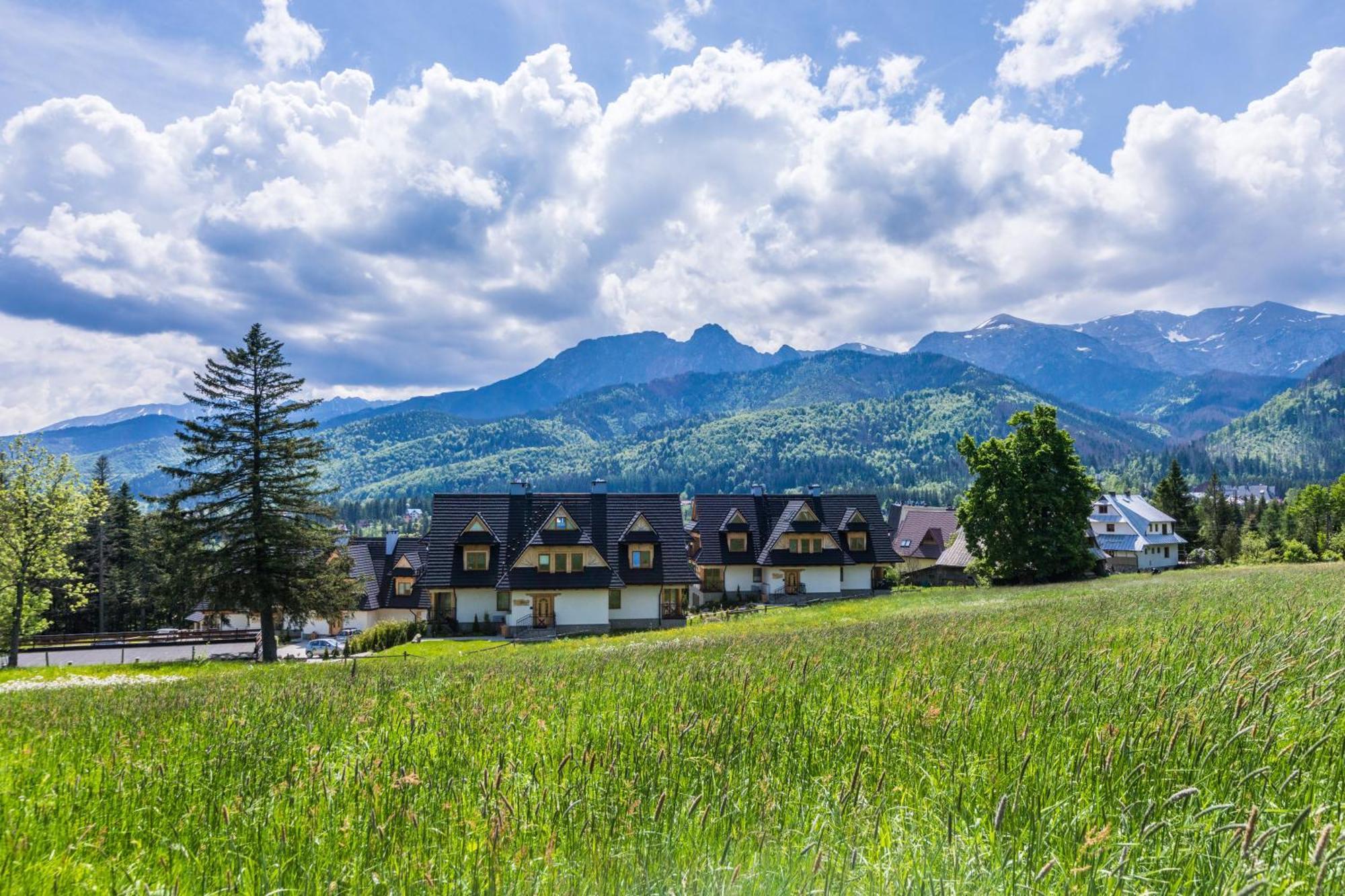 Apartament Wit Polana Sywarne Kościelisko Dış mekan fotoğraf