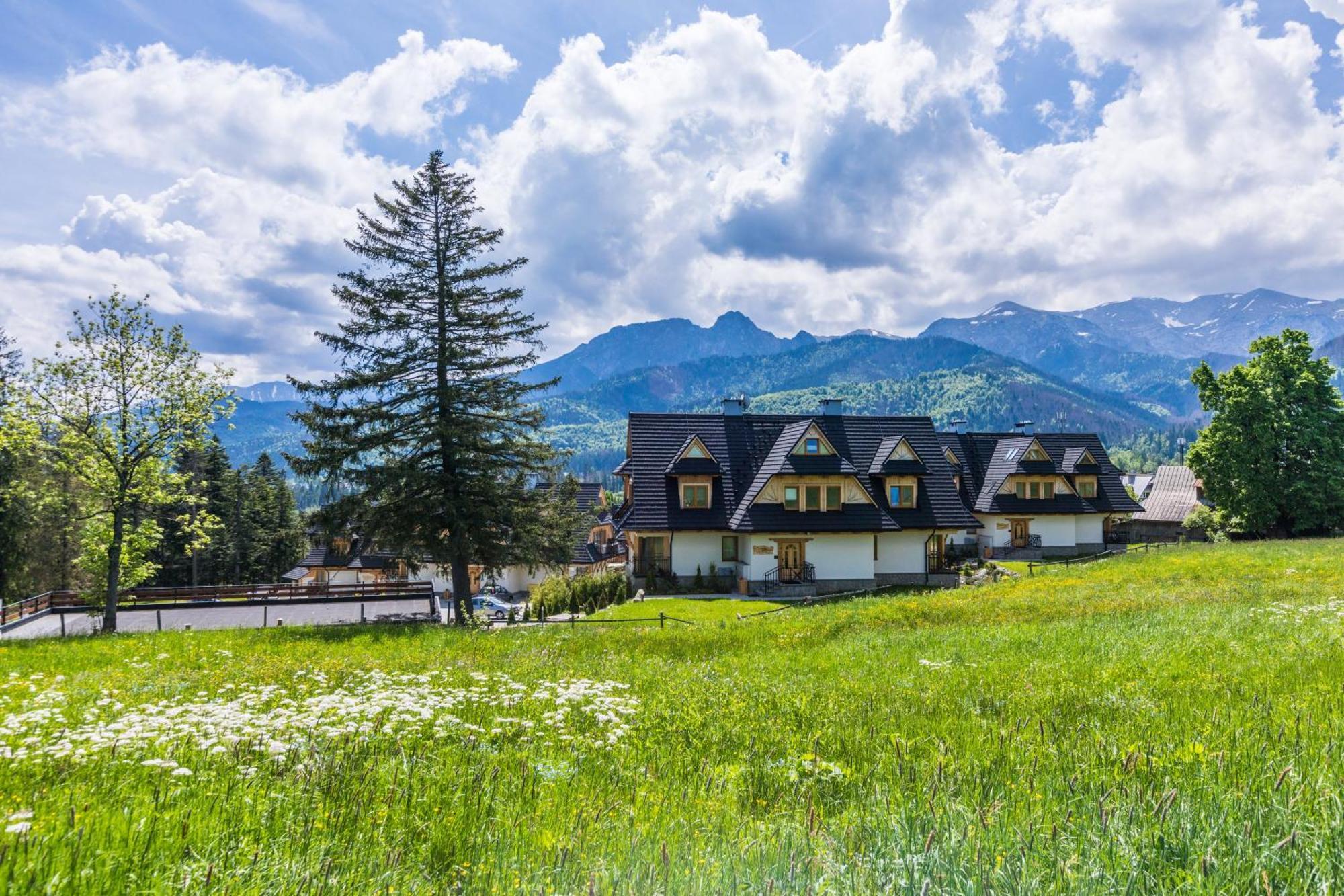 Apartament Wit Polana Sywarne Kościelisko Dış mekan fotoğraf